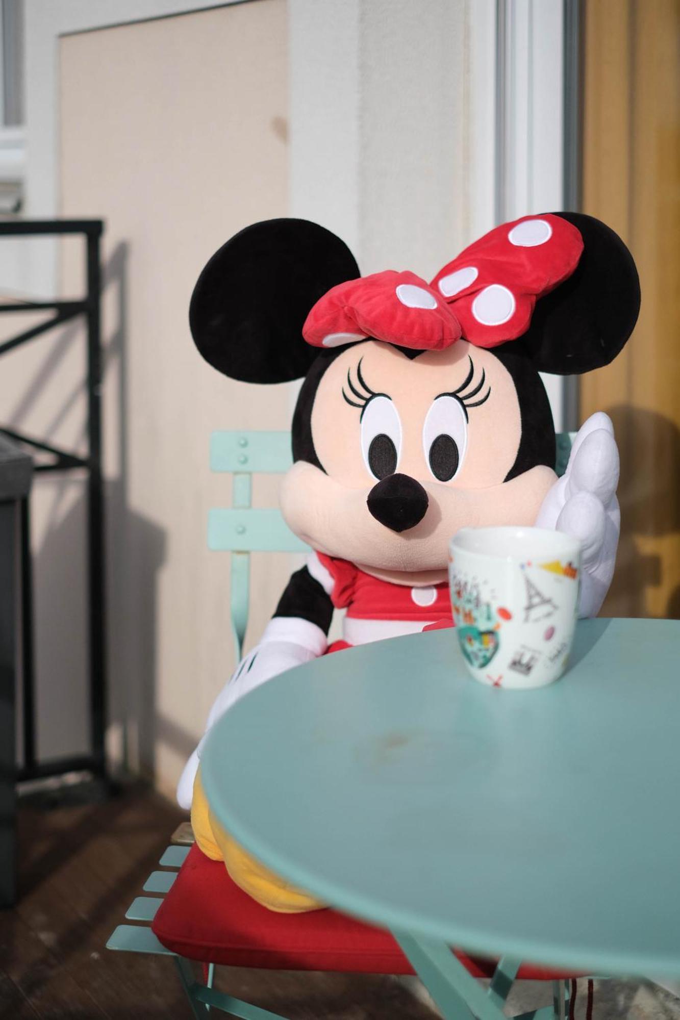 Apart' Minnie - Disneyland Paris - 3 Bedrooms - Parking Prive 马尼库尔勒翁格尔 外观 照片